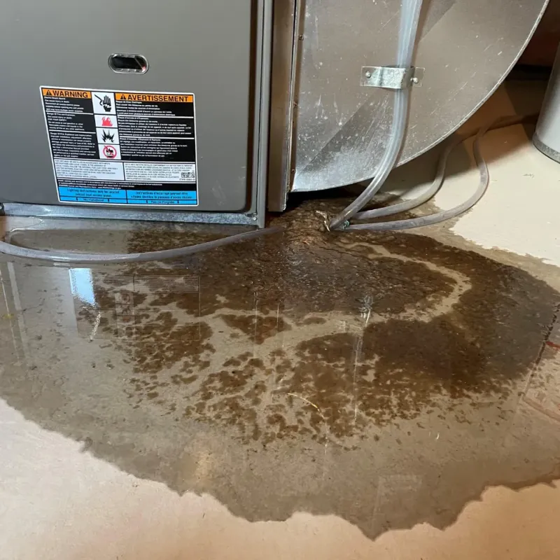 Appliance Leak Cleanup in Star City, WV