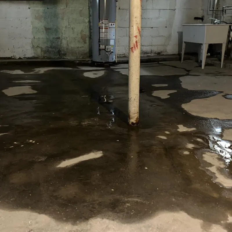Emergency Water Extraction And Removal in Star City, WV